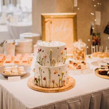 novakovi (225 of 830) novakovi (225 of 830)